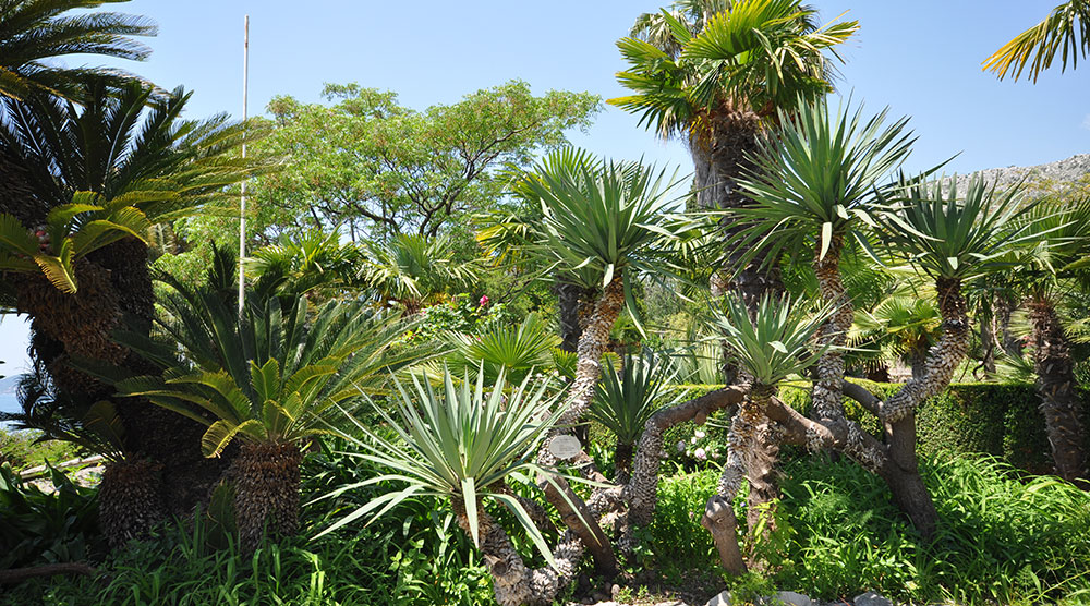 Korkyra Info-Dubrovnik